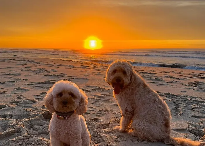 200m - Train Station Barrinha House & Pool إسموريز