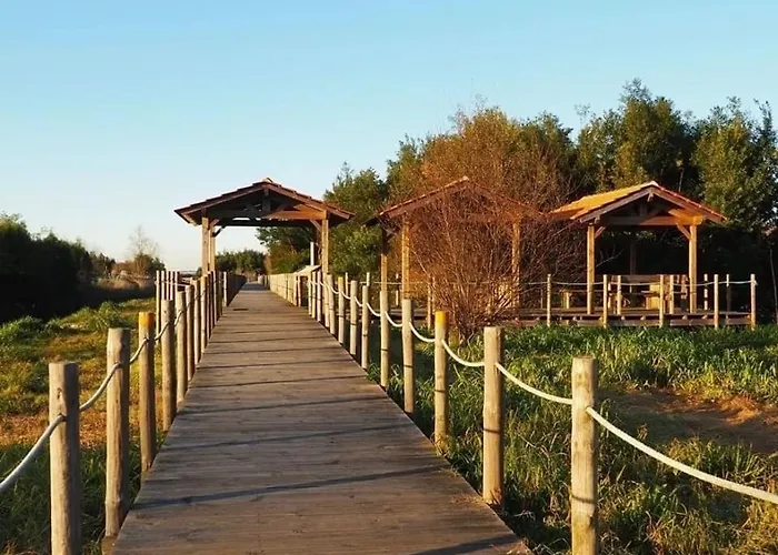 200m - Train Station Barrinha House & Pool بيت للعطل