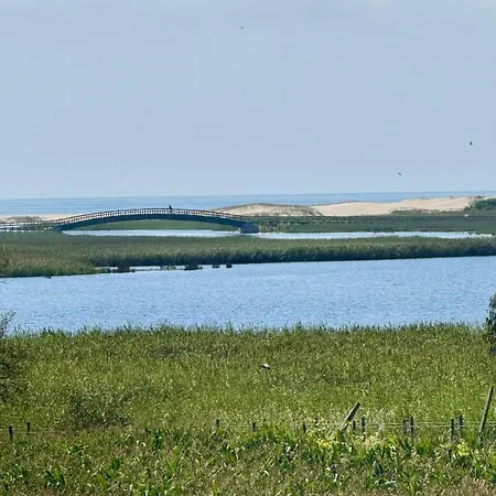 200m - Train Station Barrinha House & Pool Semesterbostad