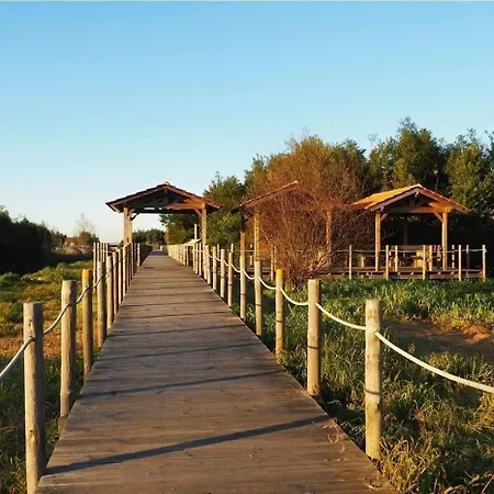 200m - Train Station Barrinha House & Pool Semesterbostad